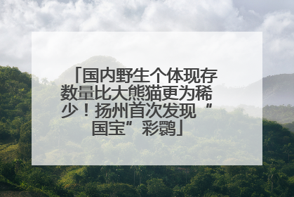 国内野生个体现存数量比大熊猫更为稀少！扬州首次发现“国宝”彩鹮