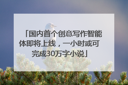 国内首个创意写作智能体即将上线，一小时或可完成30万字小说