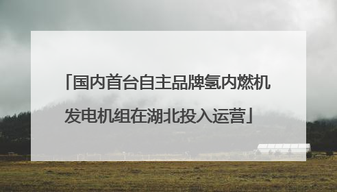 国内首台自主品牌氢内燃机发电机组在湖北投入运营
