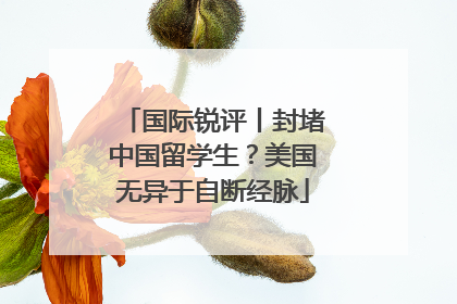 国际锐评丨封堵中国留学生？美国无异于自断经脉