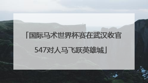国际马术世界杯赛在武汉收官 547对人马飞跃英雄城