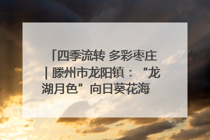 四季流转 多彩枣庄｜滕州市龙阳镇：“龙湖月色”向日葵花海 绘就乡村振兴新画卷