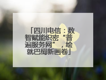 四川电信：数智赋能织密“普遍服务网”，绘就巴蜀新画卷