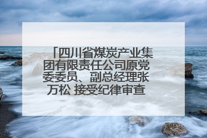 四川省煤炭产业集团有限责任公司原党委委员、副总经理张万松 接受纪律审查和监察调查