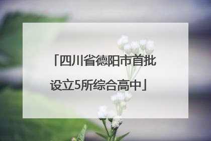 四川省德阳市首批设立5所综合高中