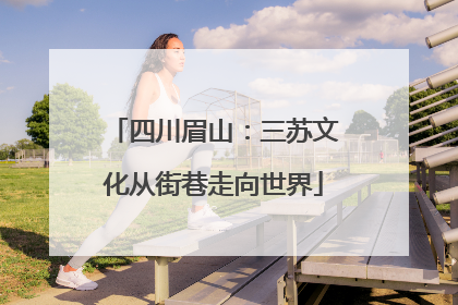 四川眉山：三苏文化从街巷走向世界