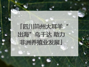 四川简州大耳羊“出海”乌干达 助力非洲养殖业发展