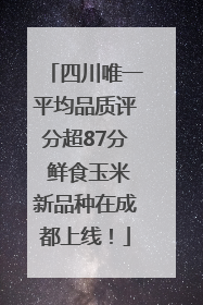 四川唯一平均品质评分超87分 鲜食玉米新品种在成都上线！