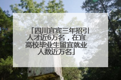 四川宜宾三年招引人才近6万名，在宜高校毕业生留宜就业人数近万名