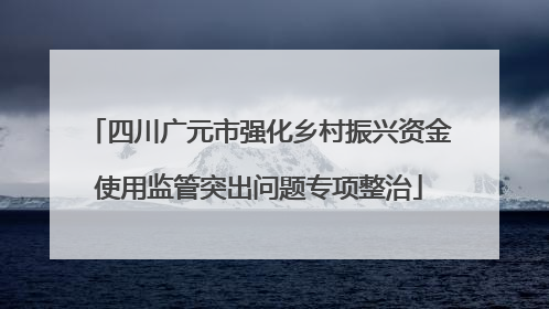 四川广元市强化乡村振兴资金使用监管突出问题专项整治