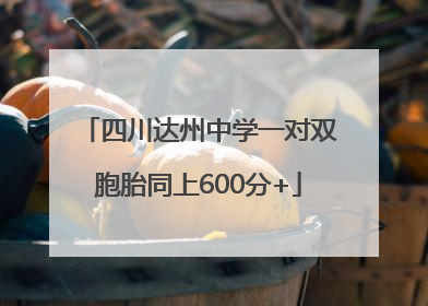 四川达州中学一对双胞胎同上600分+
