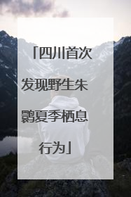 四川首次发现野生朱鹮夏季栖息行为
