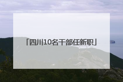 四川10名干部任新职