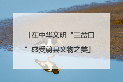 在中华文明“三岔口”感受蔚县文物之美