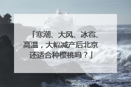 寒潮、大风、冰雹、高温，大幅减产后北京还适合种樱桃吗？