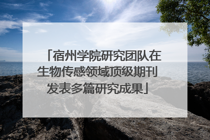 宿州学院研究团队在生物传感领域顶级期刊发表多篇研究成果