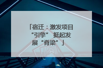 宿迁：激发项目“引擎” 挺起发展“脊梁”