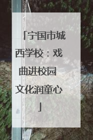 宁国市城西学校：戏曲进校园 文化润童心