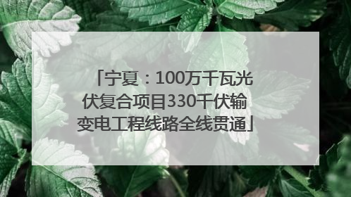 宁夏：100万千瓦光伏复合项目330千伏输变电工程线路全线贯通