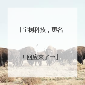 宇树科技，更名！回应来了→