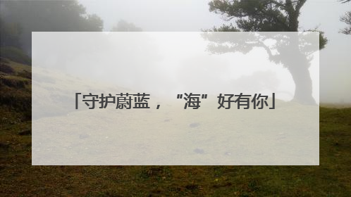 守护蔚蓝，“海”好有你