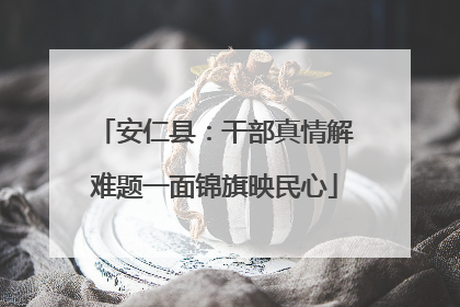 安仁县：干部真情解难题一面锦旗映民心