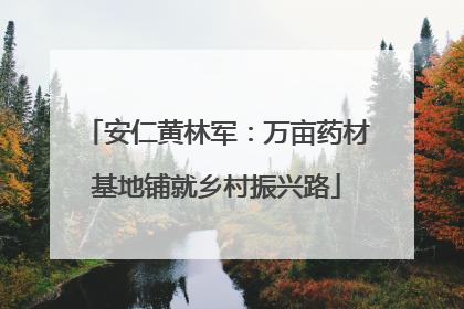 安仁黄林军：万亩药材基地铺就乡村振兴路