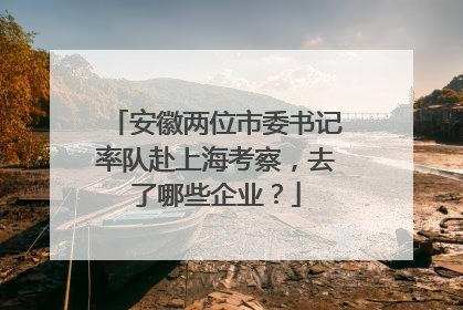 安徽两位市委书记率队赴上海考察，去了哪些企业？