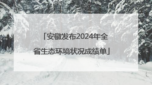安徽发布2024年全省生态环境状况成绩单