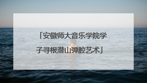 安徽师大音乐学院学子寻根潜山弹腔艺术