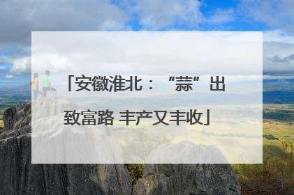 安徽淮北：“蒜”出致富路 丰产又丰收