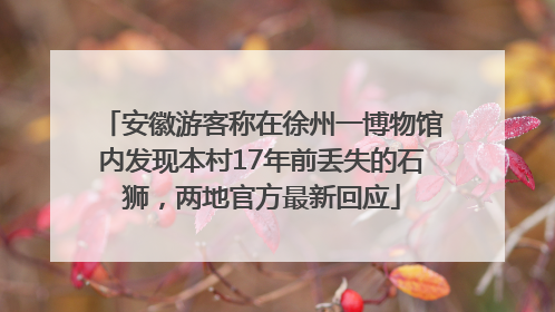 安徽游客称在徐州一博物馆内发现本村17年前丢失的石狮，两地官方最新回应