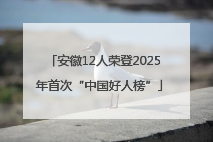 安徽12人荣登2025年首次“中国好人榜”