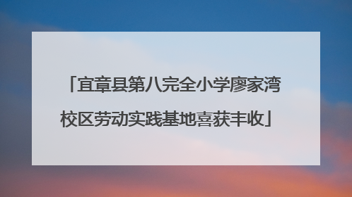 宜章县第八完全小学廖家湾校区劳动实践基地喜获丰收