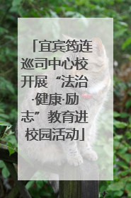 宜宾筠连巡司中心校开展“法治·健康·励志”教育进校园活动