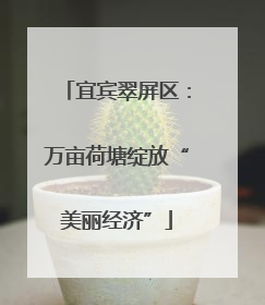 宜宾翠屏区：万亩荷塘绽放“美丽经济”