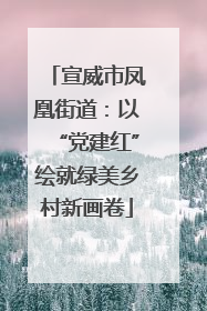 宣威市凤凰街道：以“党建红”绘就绿美乡村新画卷