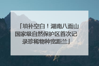 填补空白！湖南八面山国家级自然保护区首次记录珍稀物种宽距兰