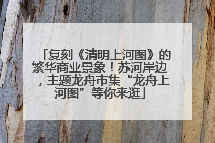 复刻《清明上河图》的繁华商业景象！苏河岸边，主题龙舟市集“龙舟上河图”等你来逛