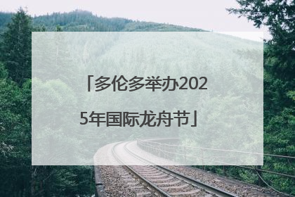 多伦多举办2025年国际龙舟节