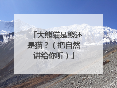 大熊猫是熊还是猫？（把自然讲给你听）