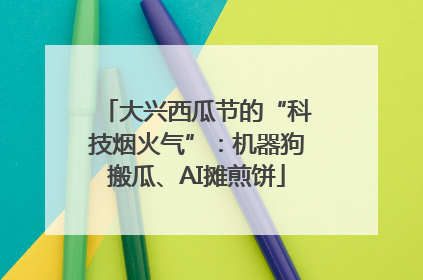 大兴西瓜节的“科技烟火气”：机器狗搬瓜、AI摊煎饼