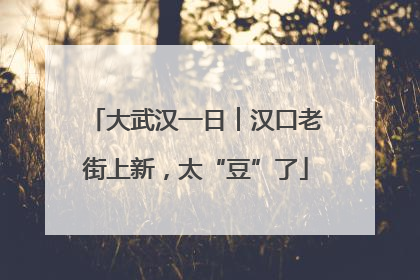 大武汉一日︱汉口老街上新，太“豆”了