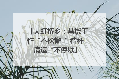 大虹桥乡：禁烧工作“不松懈“ 秸秆清运“不停歇