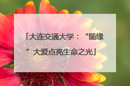 大连交通大学：“髓缘”大爱点亮生命之光