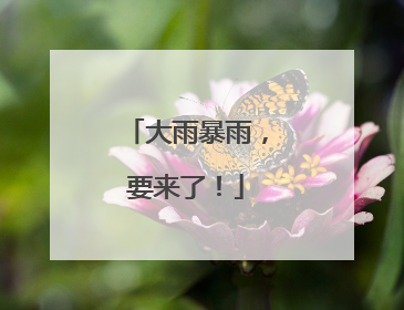 大雨暴雨，要来了！