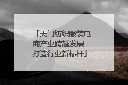 天门纺织服装电商产业跨越发展 打造行业新标杆