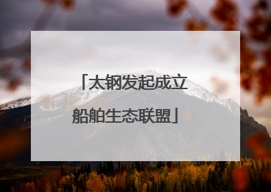 太钢发起成立船舶生态联盟