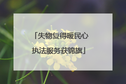 失物复得暖民心 执法服务获锦旗