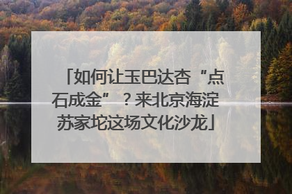 如何让玉巴达杏“点石成金”？来北京海淀苏家坨这场文化沙龙